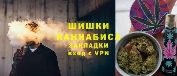 ПСИЛОЦИБИНОВЫЕ ГРИБЫ Горнозаводск