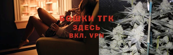 экстази Гусев