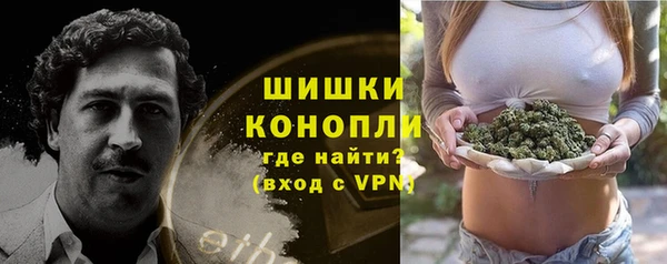 ПСИЛОЦИБИНОВЫЕ ГРИБЫ Горнозаводск