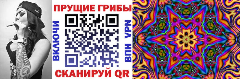 Купить где  Выборг  Галлюциногенные грибы MAGIC MUSHROOMS 